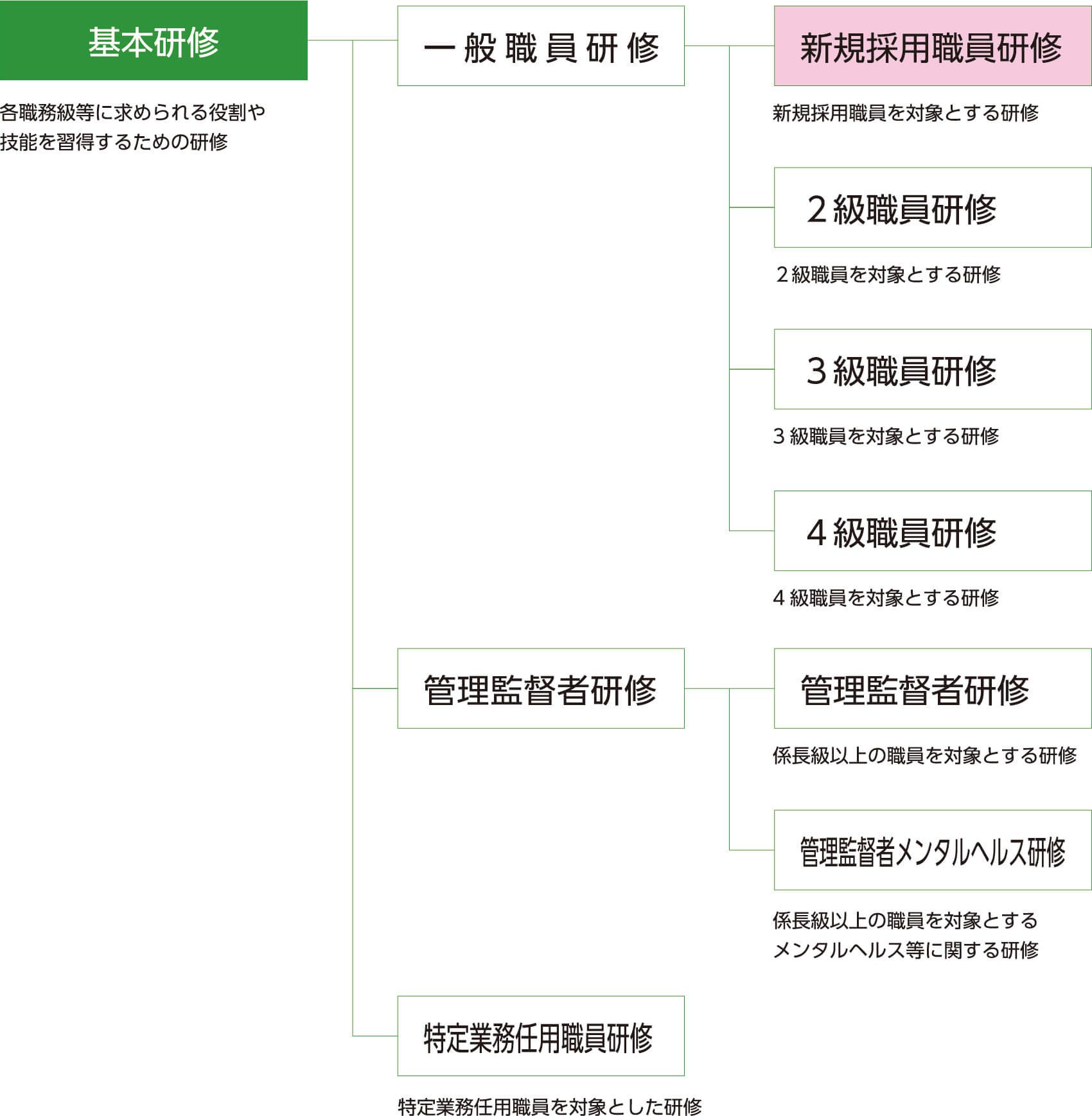 基本研修